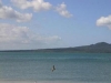 Laut-NZ.JPG